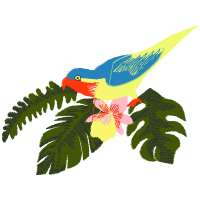 Passerine Animals Passerine Animals