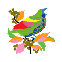 Passerine Animals Passerine Animals