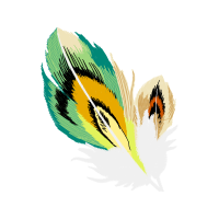 Passerine Animals Passerine Animals