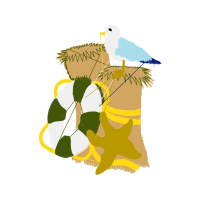 Passerine Animals Passerine Animals