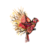 Passerine Animals Passerine Animals