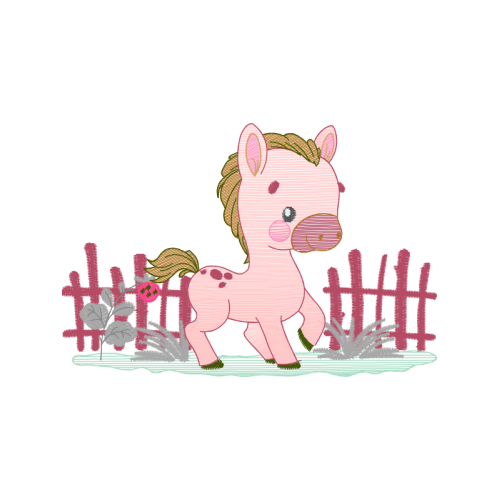 Passerine Animals Passerine Animals