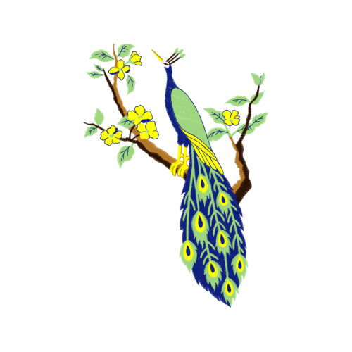 Peafowl Animals Peafowl Animals