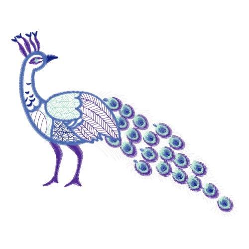 Peafowl Animals Peafowl Animals