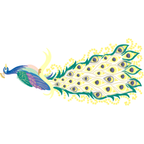 Peafowl Animals Peafowl Animals