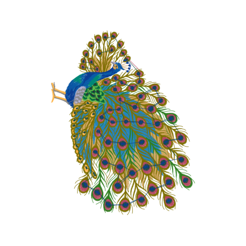 Peafowl Animals Peafowl Animals