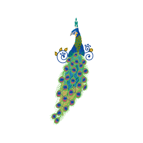 Peafowl Animals Peafowl Animals