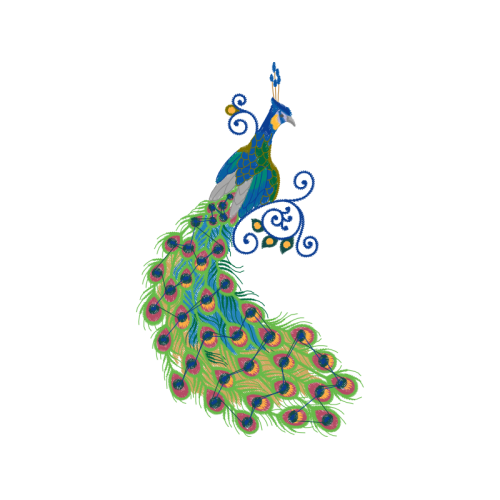 Peafowl Animals Peafowl Animals