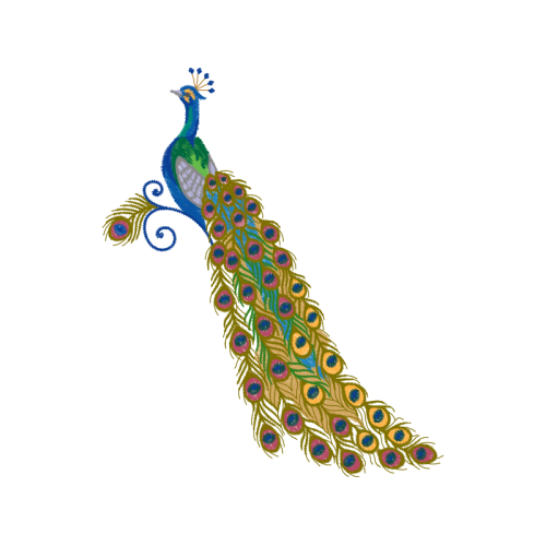 Peafowl Animals Peafowl Animals