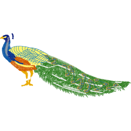 Peafowl Animals Peafowl Animals