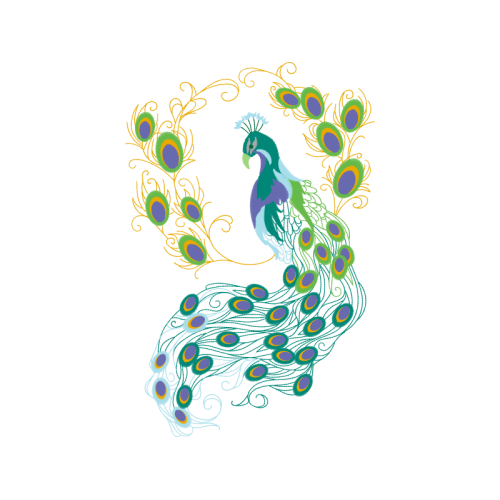 Peafowl Animals Peafowl Animals