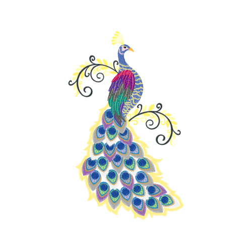 Peafowl Animals Peafowl Animals