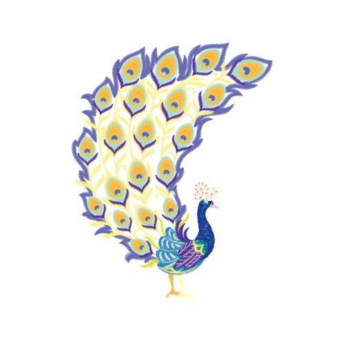 Peafowl Animals Peafowl Animals