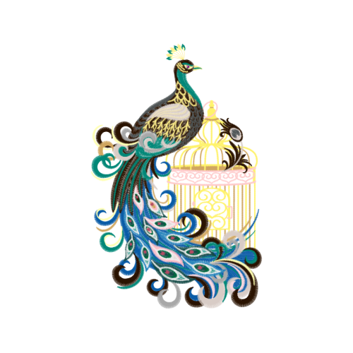 Peafowl Animals Peafowl Animals