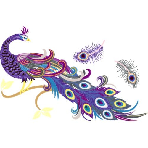 Peafowl Animals Peafowl Animals