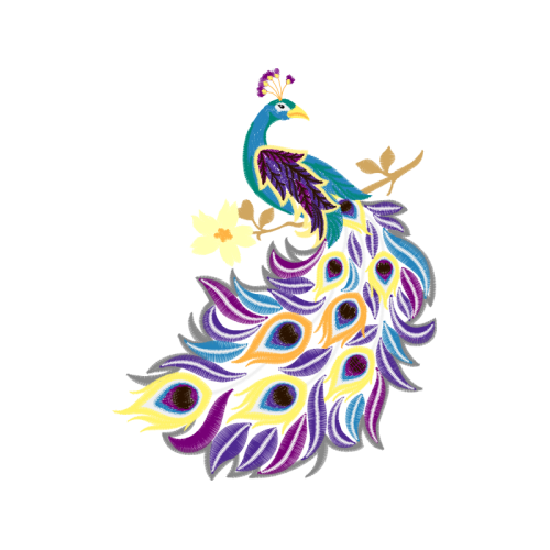 Peafowl Animals Peafowl Animals