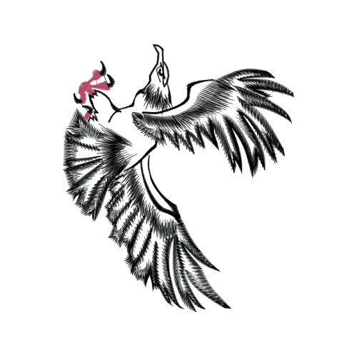 Peafowl Animals Peafowl Animals