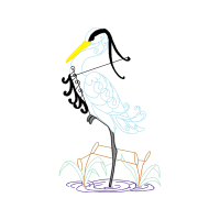 Pelecaniformes Animals