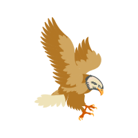 Peregrine Falcon Animals Peregrine Falcon Animals