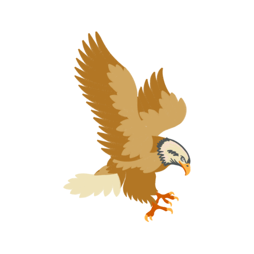 Peregrine Falcon Animals Peregrine Falcon Animals