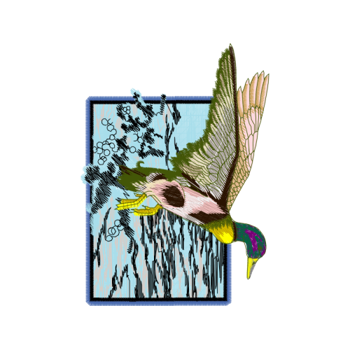 Peregrine Falcon Animals Peregrine Falcon Animals