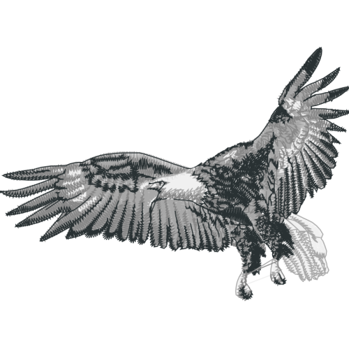 Peregrine Falcon Animals Peregrine Falcon Animals