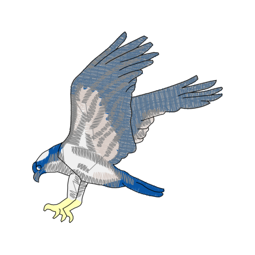 Peregrine Falcon Animals Peregrine Falcon Animals