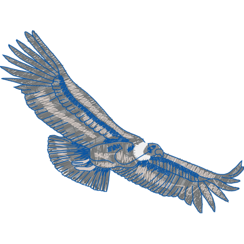 Peregrine Falcon Animals Peregrine Falcon Animals