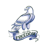 Peregrine Falcon Animals Peregrine Falcon Animals