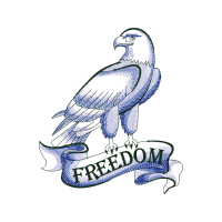 Peregrine Falcon Animals Peregrine Falcon Animals