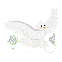 Peregrine Falcon Animals