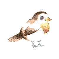 Peregrine Falcon Animals