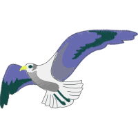 Peregrine Falcon Animals