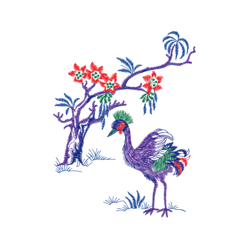 Phasianidae Animals Phasianidae Animals