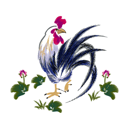 Phasianidae Animals Phasianidae Animals