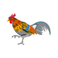 Phasianidae Animals Phasianidae Animals