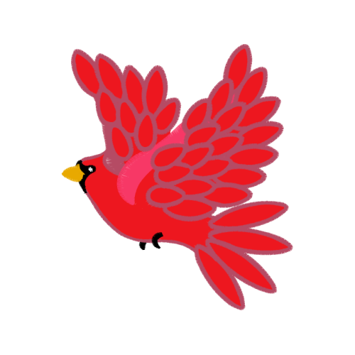 Phasianidae Animals Phasianidae Animals