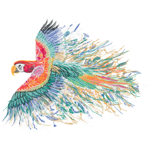 Phasianidae Animals Phasianidae Animals