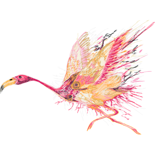 Photography Animals Photography Animals