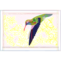 Piciformes Animals Piciformes Animals