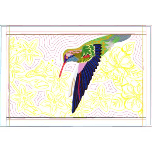 Piciformes Animals Piciformes Animals