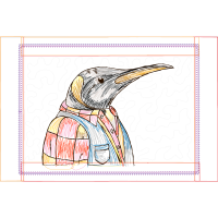 Piciformes Animals Piciformes Animals