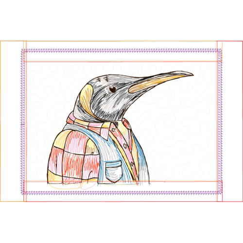 Piciformes Animals Piciformes Animals