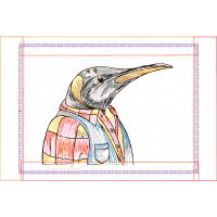 Piciformes Animals Piciformes Animals