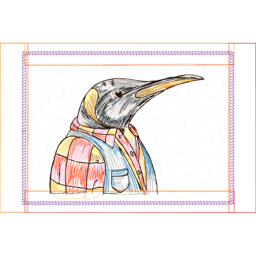 Piciformes Animals Piciformes Animals