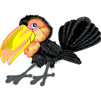 Piciformes Animals Piciformes Animals