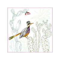 Piciformes Animals Piciformes Animals