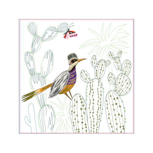 Piciformes Animals Piciformes Animals