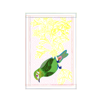 Piciformes Animals Piciformes Animals