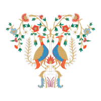 Piciformes Animals Piciformes Animals